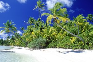 Amazing Palm Beach Solomon Islands Touris Place HD Wallpaper