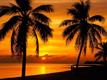 Beautiful Sunset View on Beach Wallpaper