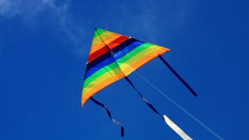 Colorful Kite During Uttarayana Festival
