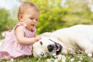 Cute Baby Playing With Dog in Garden HD