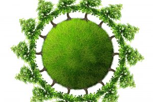 Green Value Tree Planet