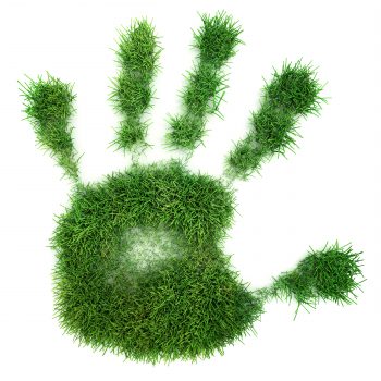 Hand Print of Grass