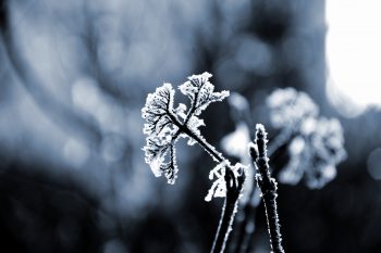 Ice Falling Nature