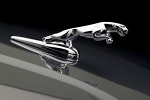 Jaguar Car Logo Photo