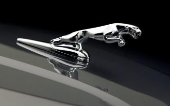 Jaguar Car Logo Photo