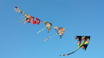 Kite Row in Sky During Makar Sankranti Festival HD