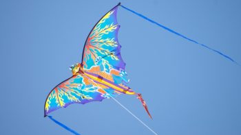 Kite in Sky Photo Background