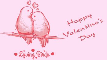Loving Bird Valentines Day HD Image