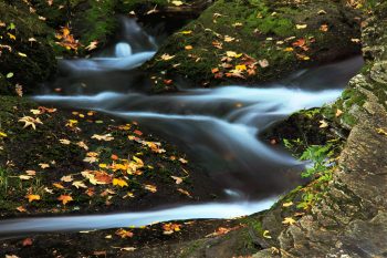 Muntain Stream In Autumn