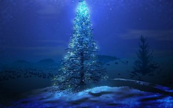 Night Christmas Tree Shine