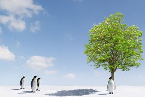 Penguin Standing Near Tree Photo