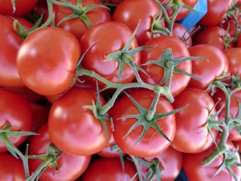 Tomato Veg