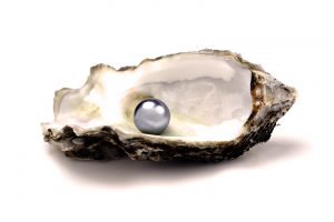 Beautiful Pearl in Sea Shell