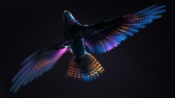 Colorful Cgi Bird