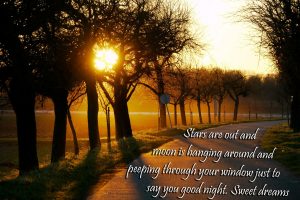 Good Night Sweet Dreams HD Quote Wallpaper