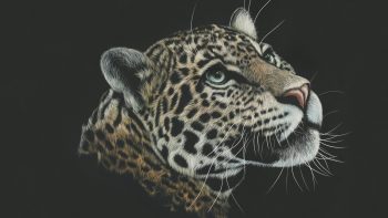 Leopard Artwork Paint Best HD Image