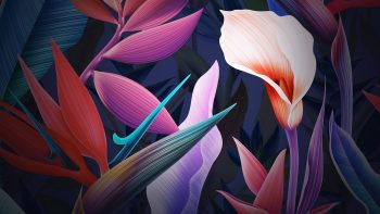 Neon Flowers Huawei Mate Stock Mobile Wallpaper HD Wallpaper Free Download Best Wallpaper