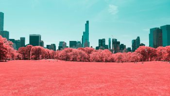 Nyc Central Park Infrared Best HD