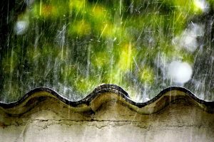 Rainy Season HD Wallpaper