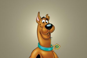 Scooby Doo Lover