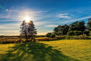 Sun and Nature View Photography
