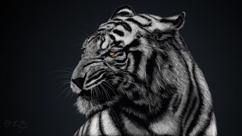 Tiger Artwork HD Wallpaper
