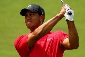 Tiger Woods Golf Player HD