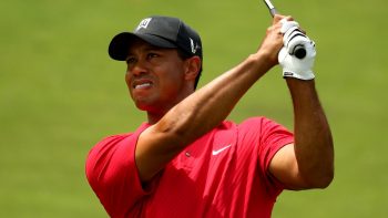 Tiger Woods Golf Player HD
