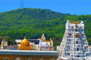 Tirumal Tirupati Balaji Temple s for Desktop