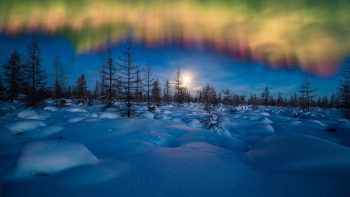 Winter Aurora Borealis