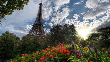 Wonders Eiffel Tower in Paris Wallpapers