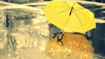 Yellow Umbrella During Rain Season Wallpaper