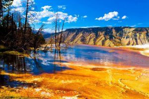 Yellowstone National Park in USA HD Wallpaper