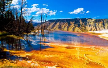Yellowstone National Park in USA HD Wallpaper
