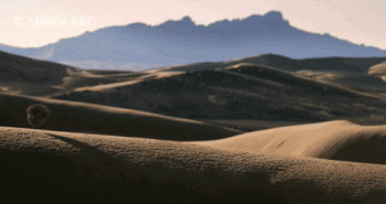 Africa Animated Gif Gif Download