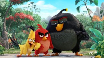 Angry Birds Movie HD Wallpapers For Android