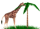 Animated Giraffe Gif Download Gif Image For Free Wallpaper Download For Android Mobile