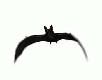 Bat Animated Gif Full Download Gif Image For Free Download