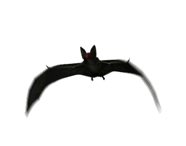 Bat Animated Gif Full Download Gif Image For Free Download - Download hd wa...