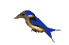 Birdanimation Image To Gif