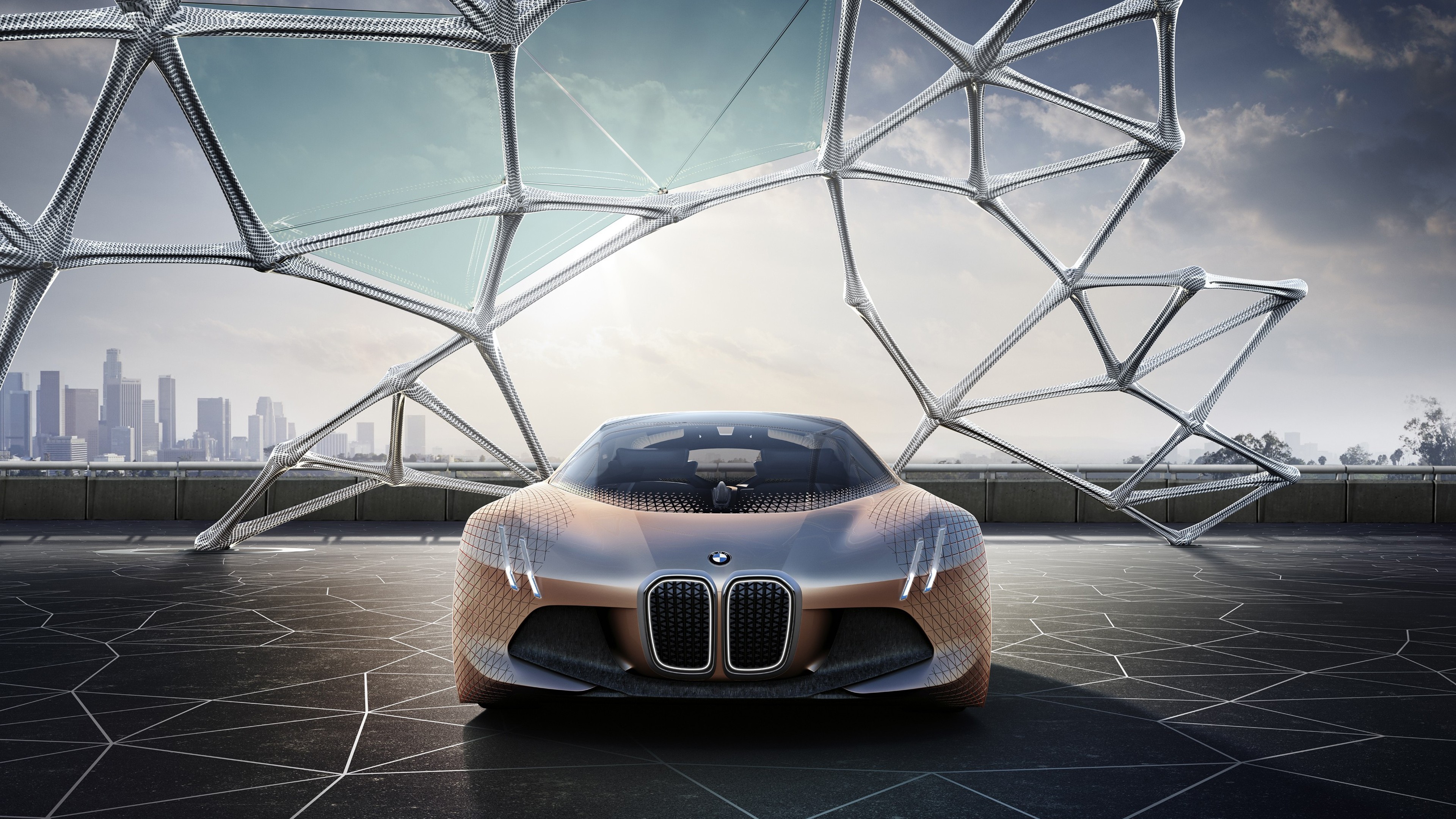 Future 100. БМВ Vision next 100. BMW Vision next 100 Concept. BMW Vision 100. BMW Vision Concept.