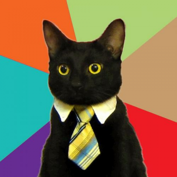 Business Funny Meme Download Cat