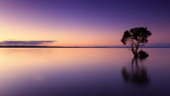 Calm Sunset Download HD Wallpaper