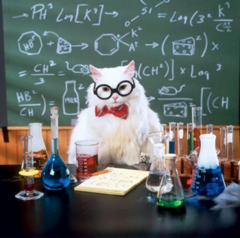 Chemistry Funny Meme Download Cat