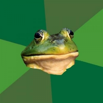 Foul Funny Meme Download Bachelor Funny Meme Download Frog