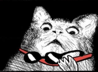 Gaspcat Funny Meme Download With Funny Meme Download Glasses