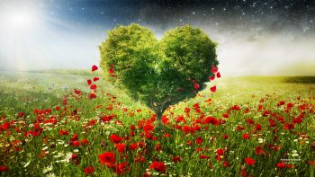 Green Love Heart Tree Poppies