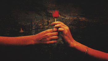 Red Rose Love Proposal Download HD Wallpaper