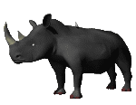 Rhinocerousanimation