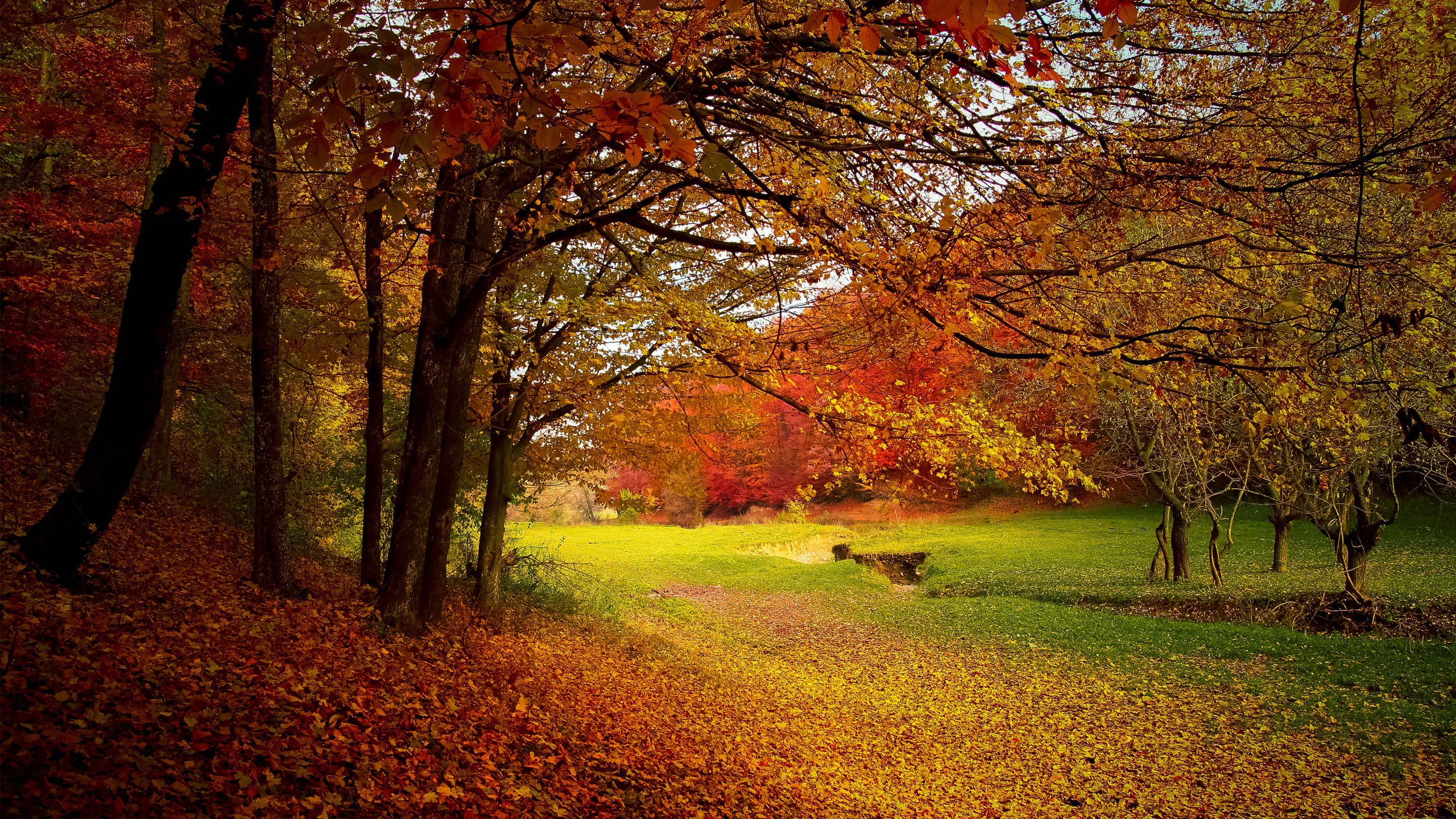 Season Autumn Download hd wallpapers